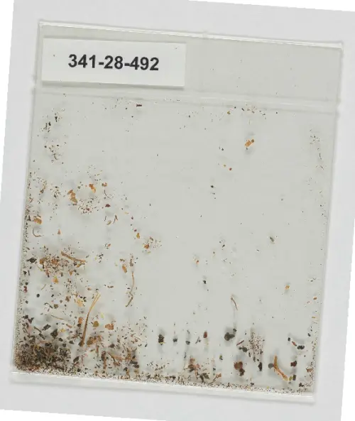 First page of BlueBookArtifacts - Physical Specimen 7-3745-470 (Artifacts 341-28-492) from Baltimore, Maryland, July 7, 1955 Four Enclosures 