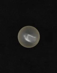 First page of BlueBookArtifacts - Physical Specimen 7-3745-456 (Artifact 341-14-478) from Sweetwater, South Carolina, October 12, 1960 Marble