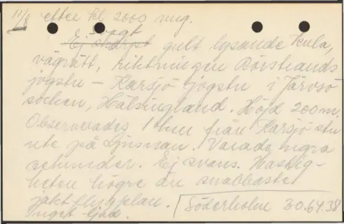 First page of SwedishGhostRockets - 001083