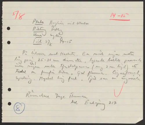 First page of SwedishGhostRockets - 000976