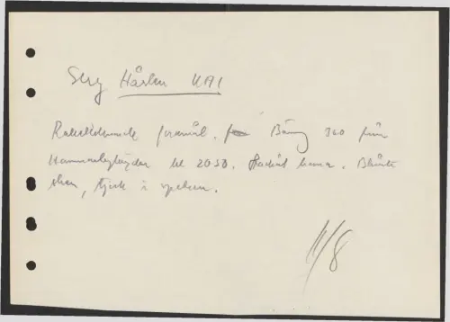 First page of SwedishGhostRockets - 001246