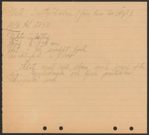 First page of SwedishGhostRockets - 001318
